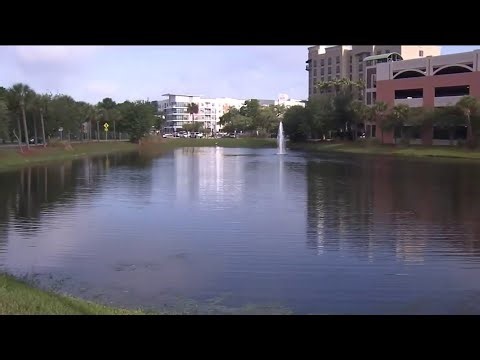New Watering Limits Hit Homeowners Across Northeast Florida as Drought Worsens