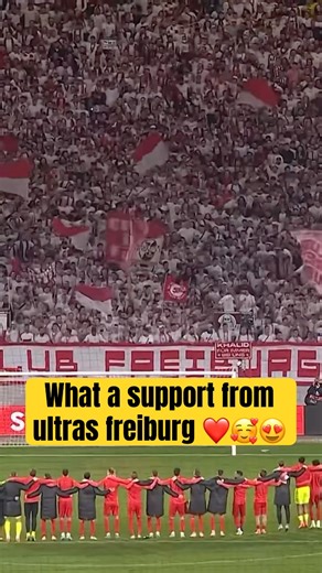 Ultras Freiburg Unite with Players Perfectly Synchronized Chants #SCFreiburg #UltrasFreiburg