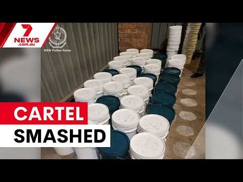Coconut Cartel dismantled in major Sydney drug bust | 7NEWS