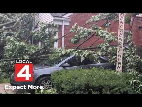Local 4 News at 11 -- July 7, 2026