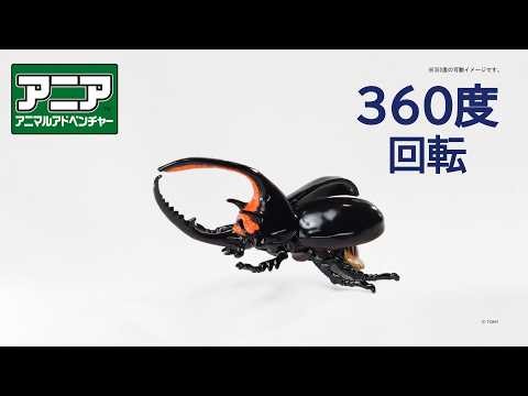 【公式】アニア360度回転動画 「AL-39 ネプチューンオオカブト」