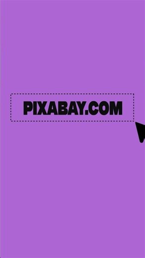 TOP 5 Powerful Website You Must Know