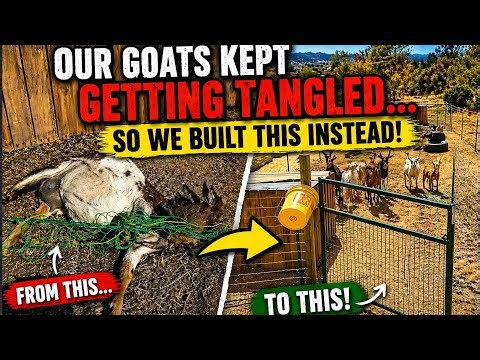 Our Goats Kept Getting Shocked and Tangled...So We Did This Instead