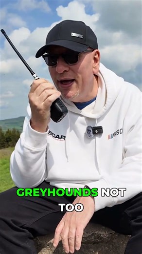 Attacked by greyhounds during my CB radio test! 🐾😂