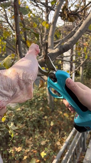 Anti-Pinch Pruning Shears – Safe & Effortless Branch Cutting#gardentools #antipinch#branchshears