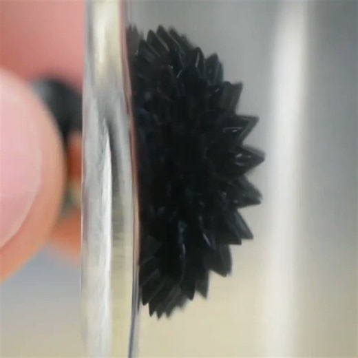 Ferrofluid is an oily, black liquid that is attracted to magnets, consisting of nanoscale particles suspended in a carrier fluid.