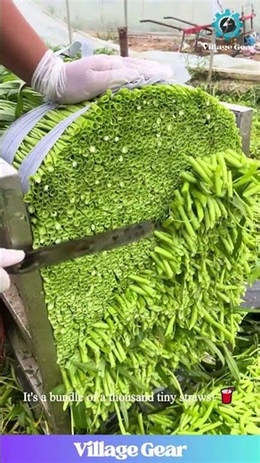 My Brain Just Went COMPLETELY Smooth Watching This! 😂 This Veggie Chop is My New Zen Moment!