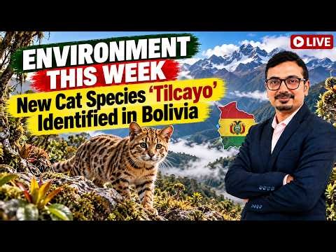 Tilcayo: New Cat Species Discovered in Bolivia | UPSC Environment & Ecology Current Affairs
