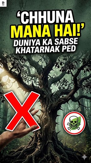 Duniya ke Sabse KHATARNAK Ped! 🚫 #Shorts