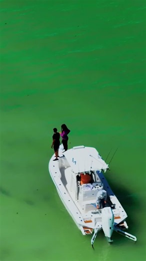 #afishingstory #tiffanygreene #espncommentator #inshorefishing | Ronnie Green M.B.A.