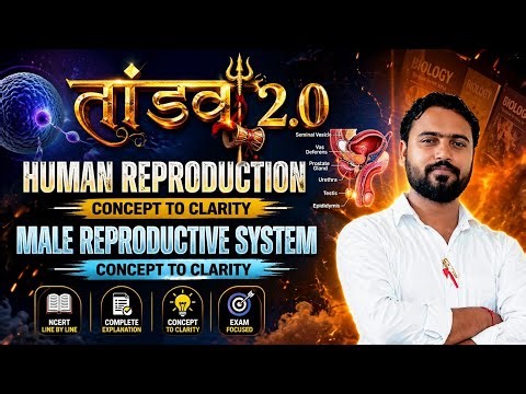 Male Reproductive System | Class 12 Biology NCERT Line by Line | Human Reproduction | NEET 2026