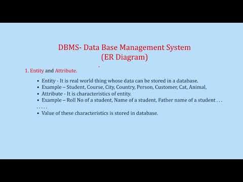 Entity And Attribute