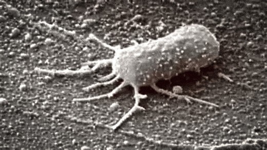 NASA's Mars discovery sparks excitement over unexpected findings