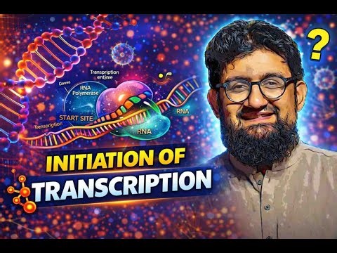 Intitation of Transcrition (Protein Synthesis)