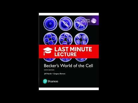 Regulation of Gene Expression | Chapter 20 – Becker’s World of the Cell (9th)