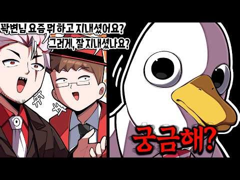 안 궁금해졌어...