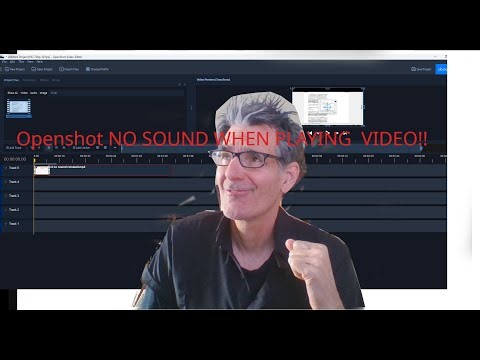 no sound in openshot fix with reinstall
