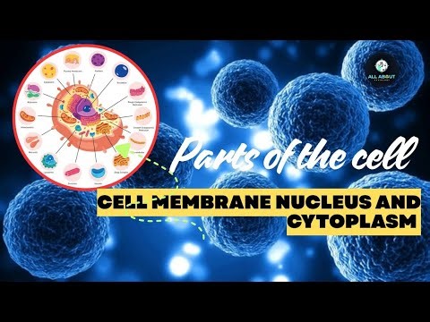 Parts of cell | Cell membrane, Nucleus, cytoplasm| All about Radio 