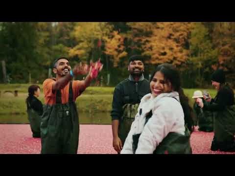 Start Your Ontario Adventure Here | Welcome to Ontario