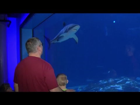 Spring family activities on the wild side