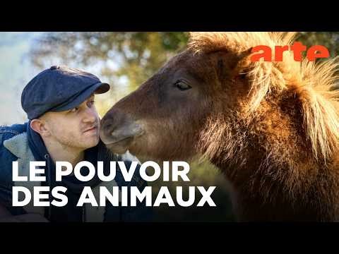 Des âmes sœurs ? Pourquoi les animaux nous font du bien | Twist | ARTE