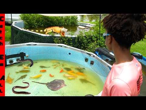 EMPTYING ALL My RARE EXOTIC Micro FISH POOLS into BACKYARD Grow Out RIVER BUILD!