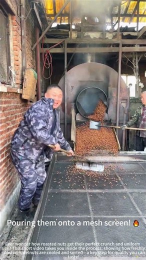 Roasting hazelnuts in the drum machine! 🌰