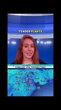 Houston can expect COLD TEMPERATURES this weekend