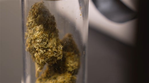 Smokable hemp ban temporarily lifted, shops can sell smokable products again, Texas judge says