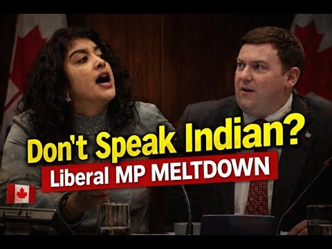 Liberal MP MELTDOWN DERAILS Committee — WATCH What Happened Next