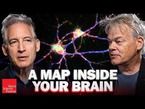 How Does Your Brain Know Where You Are? | World Science Festival