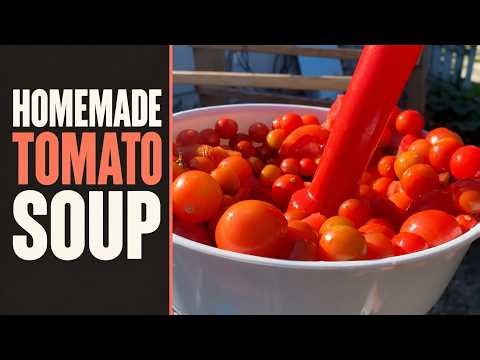 Homemade Tomato Soup from Fresh Tomatoes 🍅 | Cooking with Sherry
