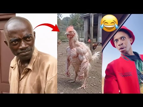 TRY NOT TO LAUGH 😂 | crazy funniest videos ever in the world