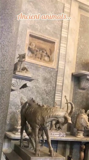 A “Stone Zoo” Inside the Vatican Museums? 🦁🇻🇦