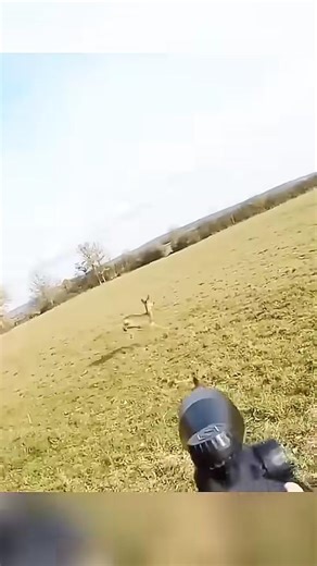 Double Deer Hunting – Perfect Clean Shot Moment#deer #hunting #chasse #chase #caccia #moose