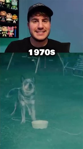 The end of Oak Street dog name origin