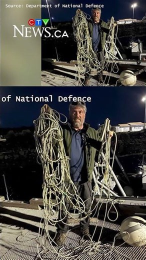 Humpback whale entangled in fishing gear receives help from Canadian Military