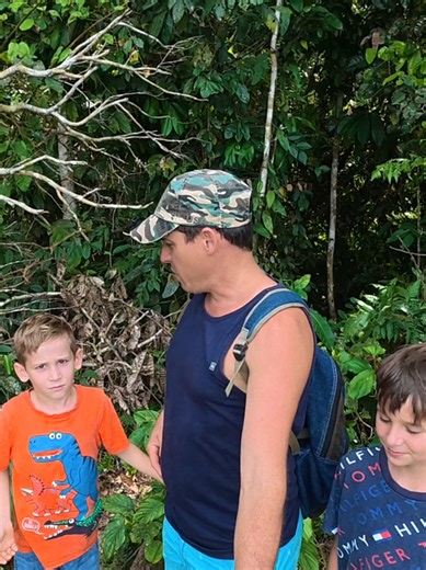 What did our trail cameras catch? #junglelife #wildlife | trail camera footage