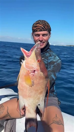 10/10 Seafood🙌 #fishing #bahamas #shark