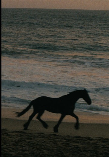Stella McCartney StellaWinter26 film — connection between women and horses