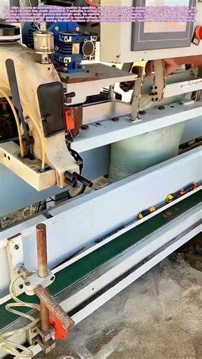 Measuring Motion: The Hidden Logic of Automated Packing