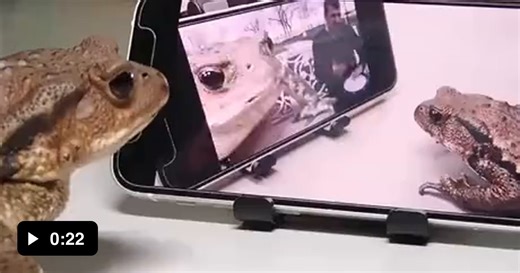 Wednesday reminder - Video