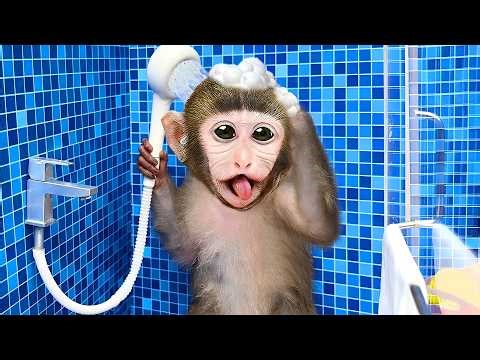 Monkey Dodo Takes Care of Baby Monkey and Enjoy A Relaxing Bath After School