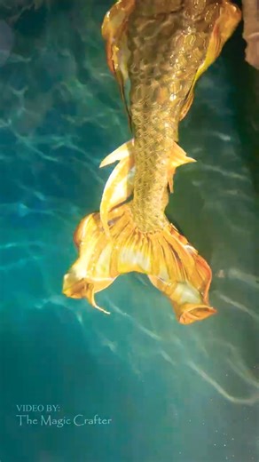 The Tail of a Golden Mermaid
