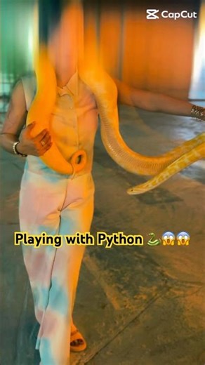 Playing with Python#shorts #familyvlog #lifeisbutadream #priyanka4