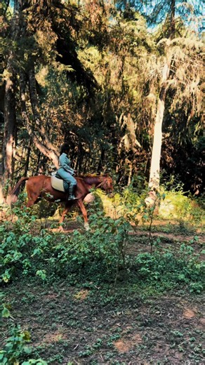 Wanjiku Stephens (@wanjikustephens_)’s videos with Old Town Road - Lil Nas X/Billy Ray Cyrus