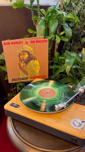 Bob Marley and the wailers Thank u so Much the legend of reggae music 👑🖤💚💛❤️🪘🎤🎸🪉🪉🪉💥💥💥🙌🏿 #bouboubakarysylla #waounde #boubafile #reelsviral #reelsfbシ