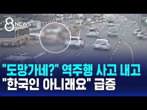 "도망가네?" 역주행 사고 내고.."한국인 아니래요" 급증 / SBS 8뉴스