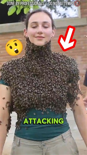 Is Bee Bearding Safe? 🤔 #shorts #bee #honey