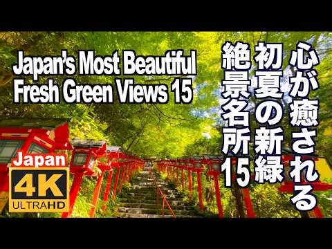 【リラックス】初夏に一度は行きたい！癒される新緑名所15選 白神山地 奥入瀬渓流 祇王寺 三千院 貴船神社 永観堂 八甲田山 十和田湖 心洗われる新緑 #新緑の名所#癒される#青紅葉